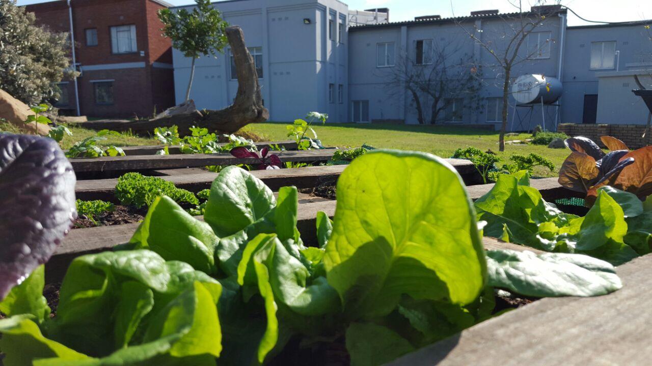 The Backpack Shack Hostel Mosselbaai Buitenkant foto